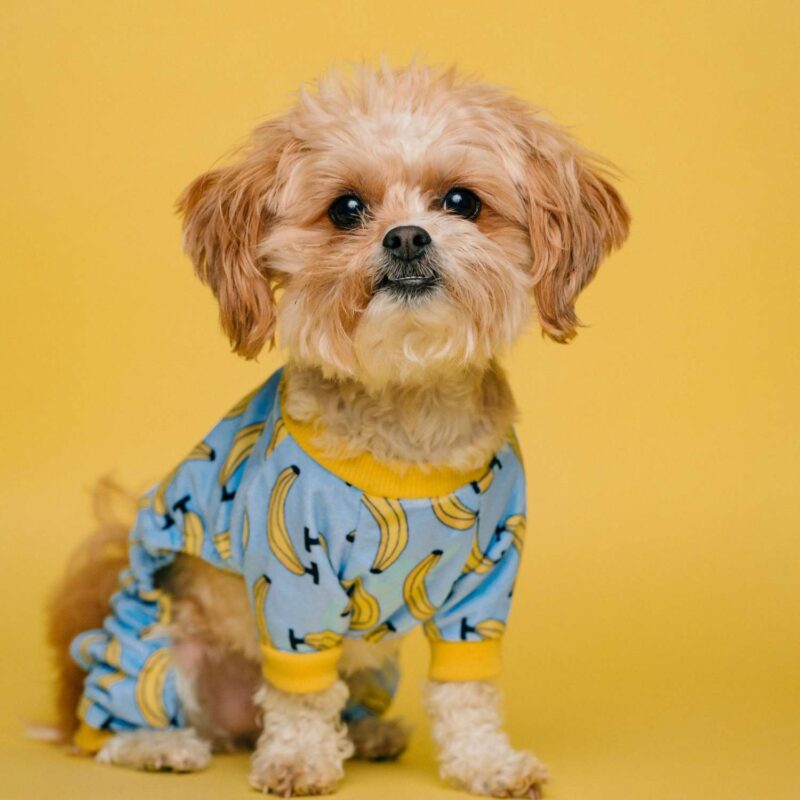 AQUALOO is Australia's Specialist in Commercial Toilet and Shower Partitions / Cubicles l Compact Laminate Lockers & Seating l Integrated Paneling System l Washroom Accessories